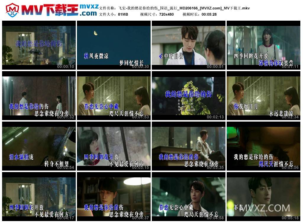 飞宏-我的愁是你给的伤_国语_流行_MD206166